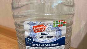 Цены на газированную воду в Пятерочке в Техношок