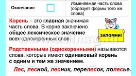 Чем важна приставка в русском языке в Техношок