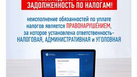 Что означает отрицательное сальдо ЕНС в Техношок