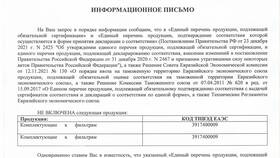 Что писать в графе 