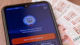 Что такое ФНС в телефоне в Техношок