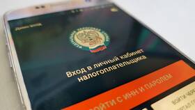 Что такое налоговая выписка в Техношок