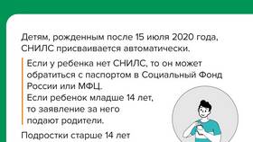 Для чего нужен СНИЛС при устройстве на работу в Техношок