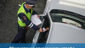 Как обжаловать постановление ГИБДД: пошаговая инструкция в Техношок