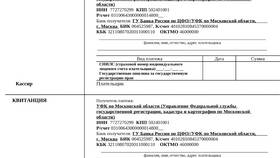 Как оплатить госпошлину юридическому лицу: пошаговая инструкция в Техношок