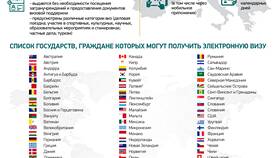 Как выглядит электронная виза в Техношок
