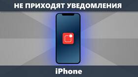 Почему не приходят уведомления WhatsApp в Техношок
