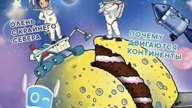 Почему ООО популярно в Техношок